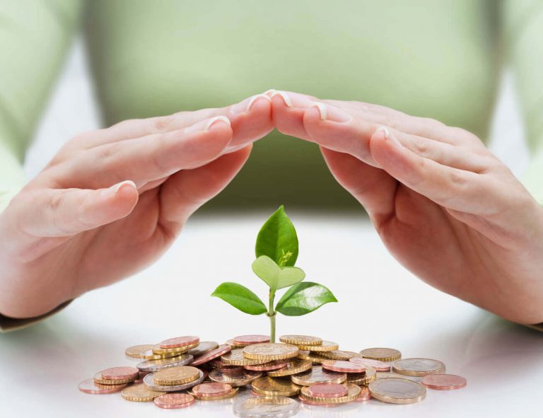 Eco Friendly Business Seminar